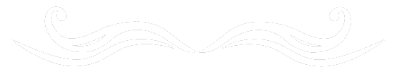 diseño logo1